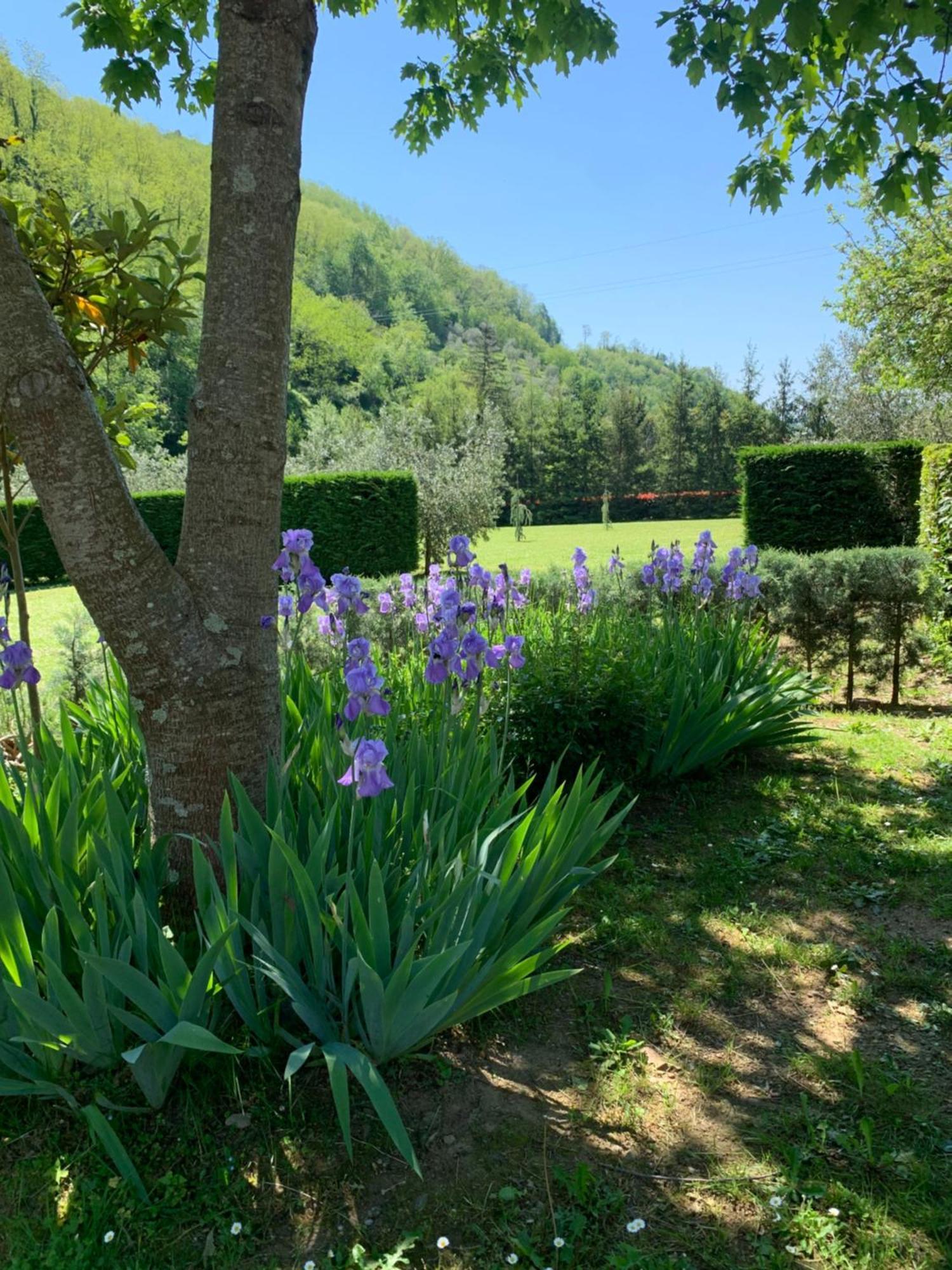 Villa Podere Campofossato Pistoia Exterior foto