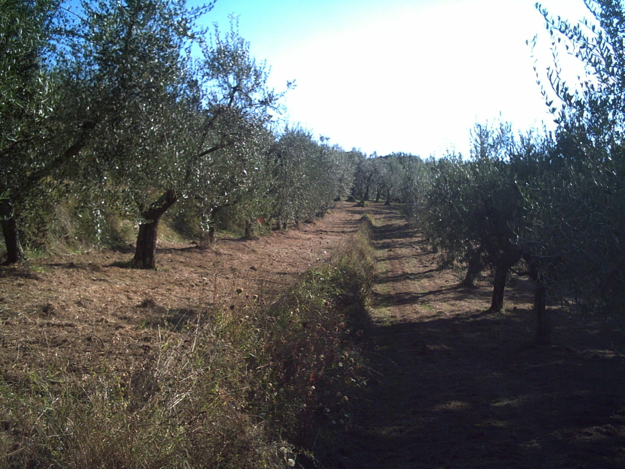 Villa Podere Campofossato Pistoia Exterior foto